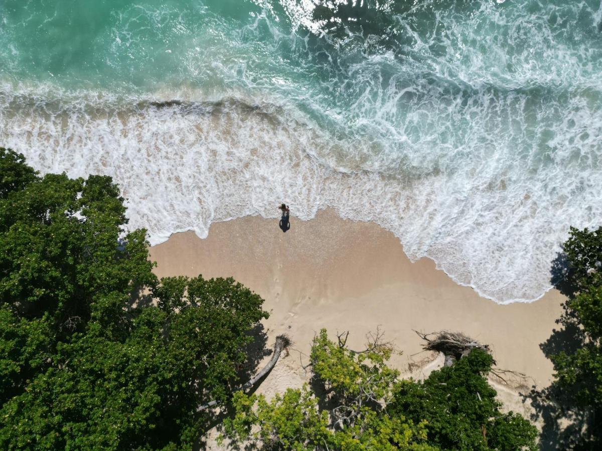 Samana Ecolodge Эль-Лимон Экстерьер фото