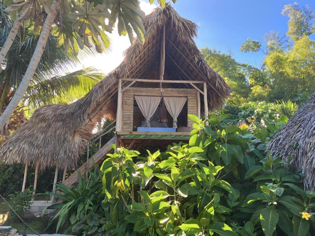 Samana Ecolodge Эль-Лимон Экстерьер фото