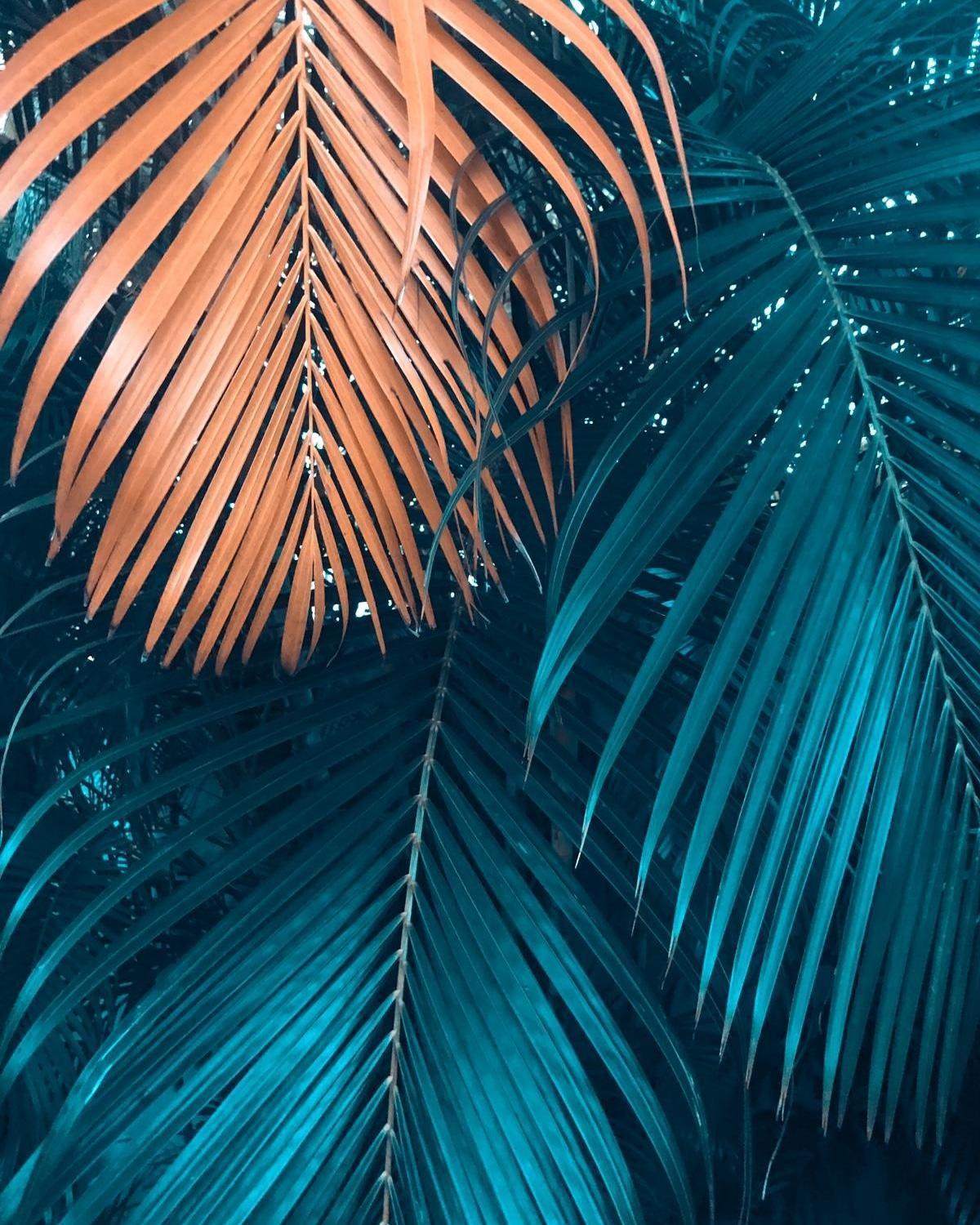 Samana Ecolodge Эль-Лимон Экстерьер фото