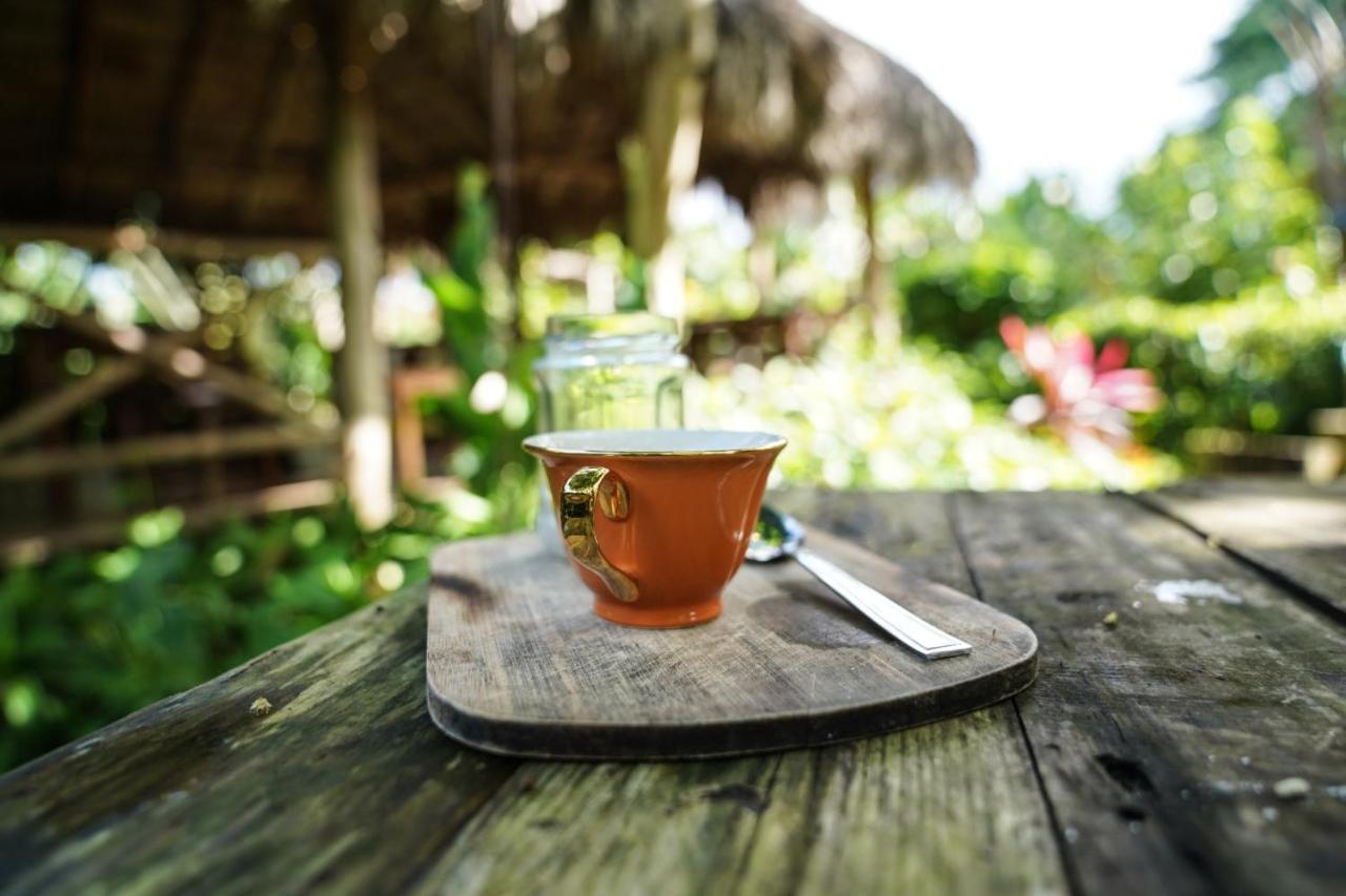 Samana Ecolodge Эль-Лимон Экстерьер фото