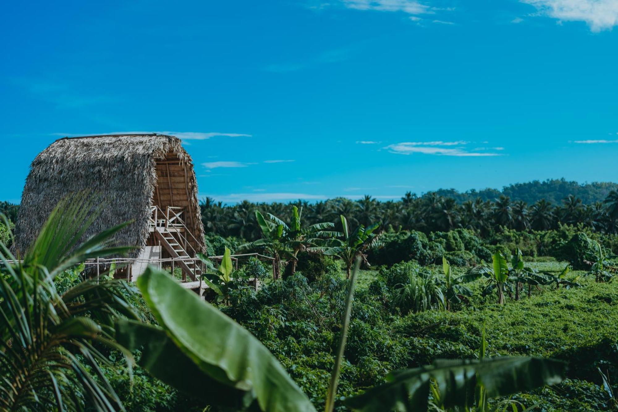 Samana Ecolodge Эль-Лимон Экстерьер фото
